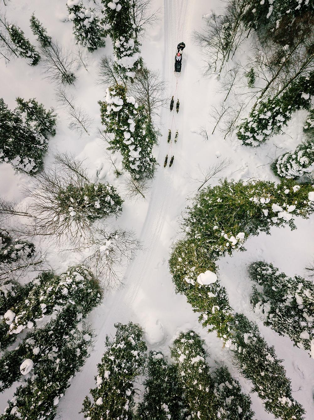 Aerial,View,Of,Sledding,With,Husky,Dogs,In,Lapland,Finland.