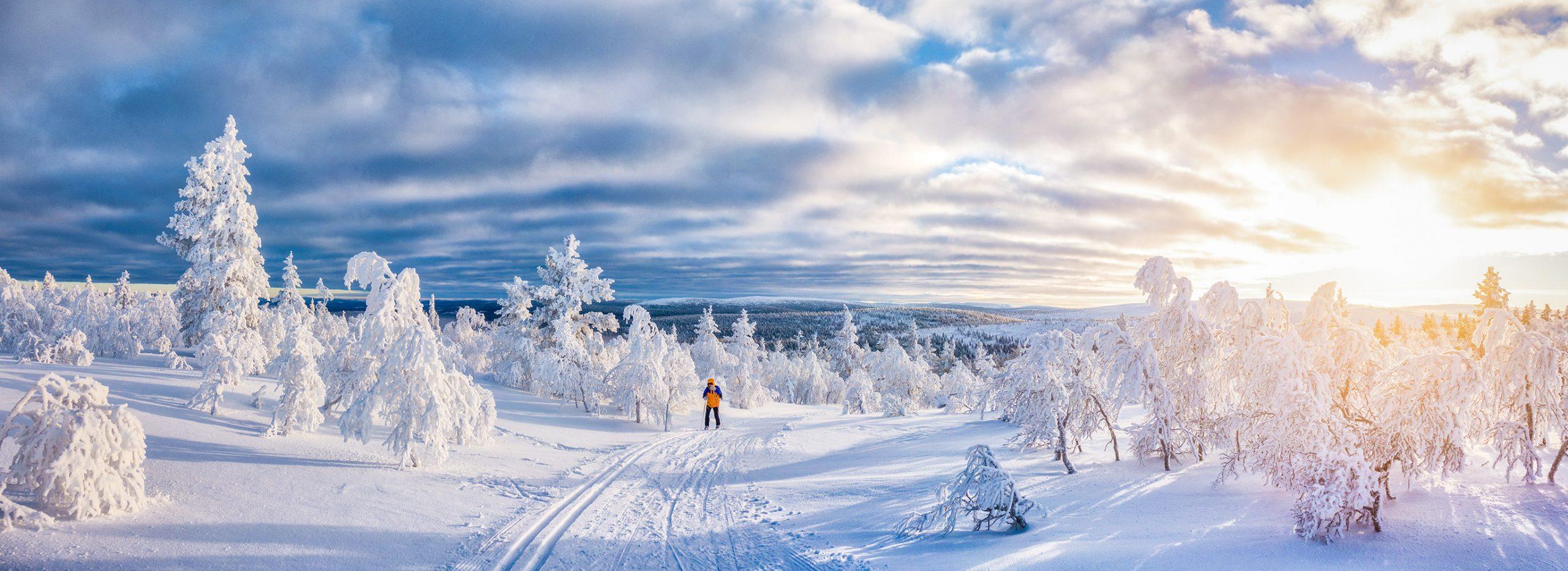 Idyllic,Panoramic,View,Of,Young,Man,Cross-country,Skiing,On,A