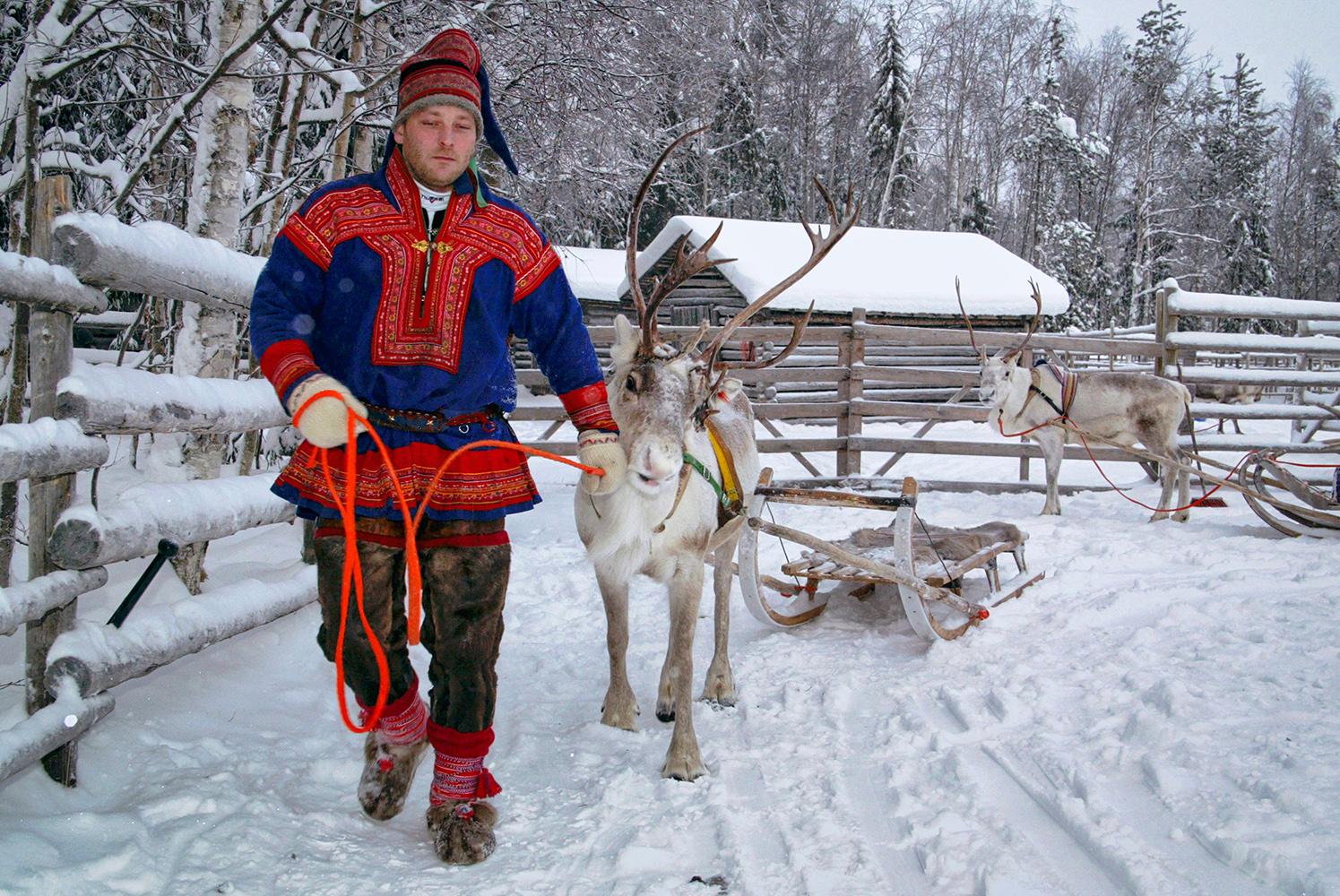 Man,In,Traditional,Sami,Costume,,With,Reindeer,And,Sled,,Rovaniemi,