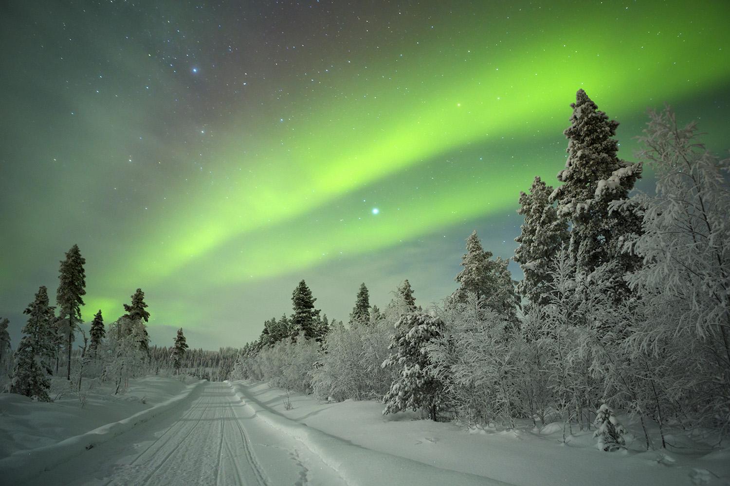 Spectacular,Aurora,Borealis,(northern,Lights),Over,A,Track,Through,Winter