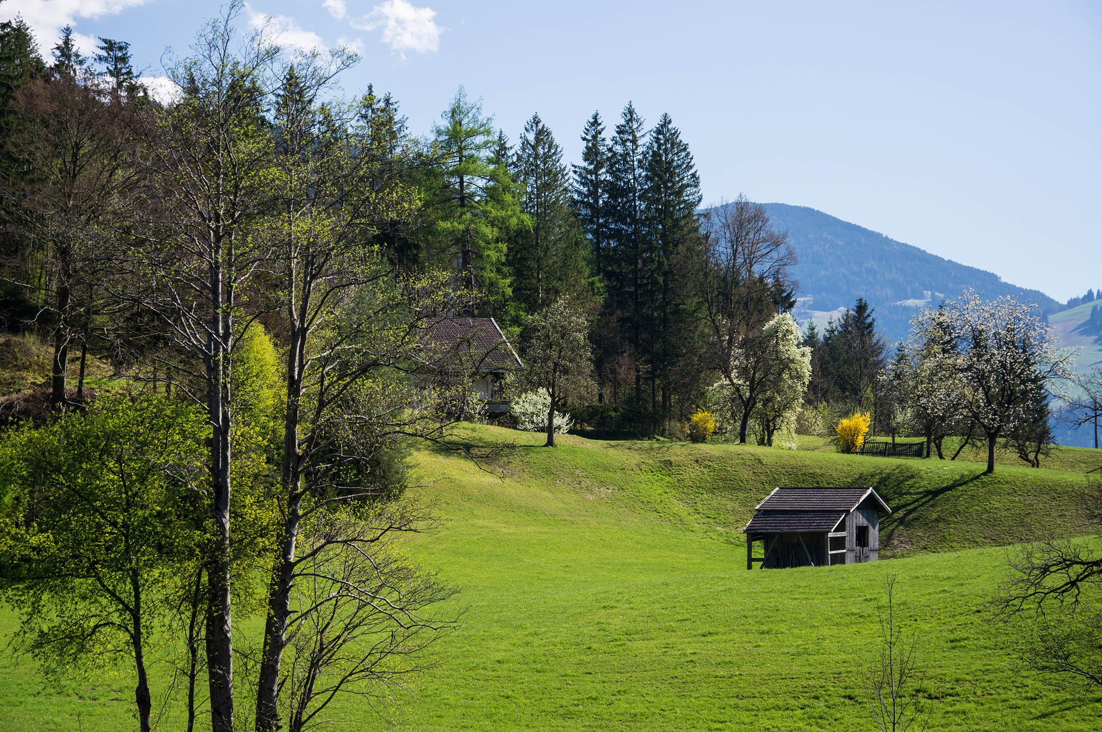 Kramsach photo, copyright: 