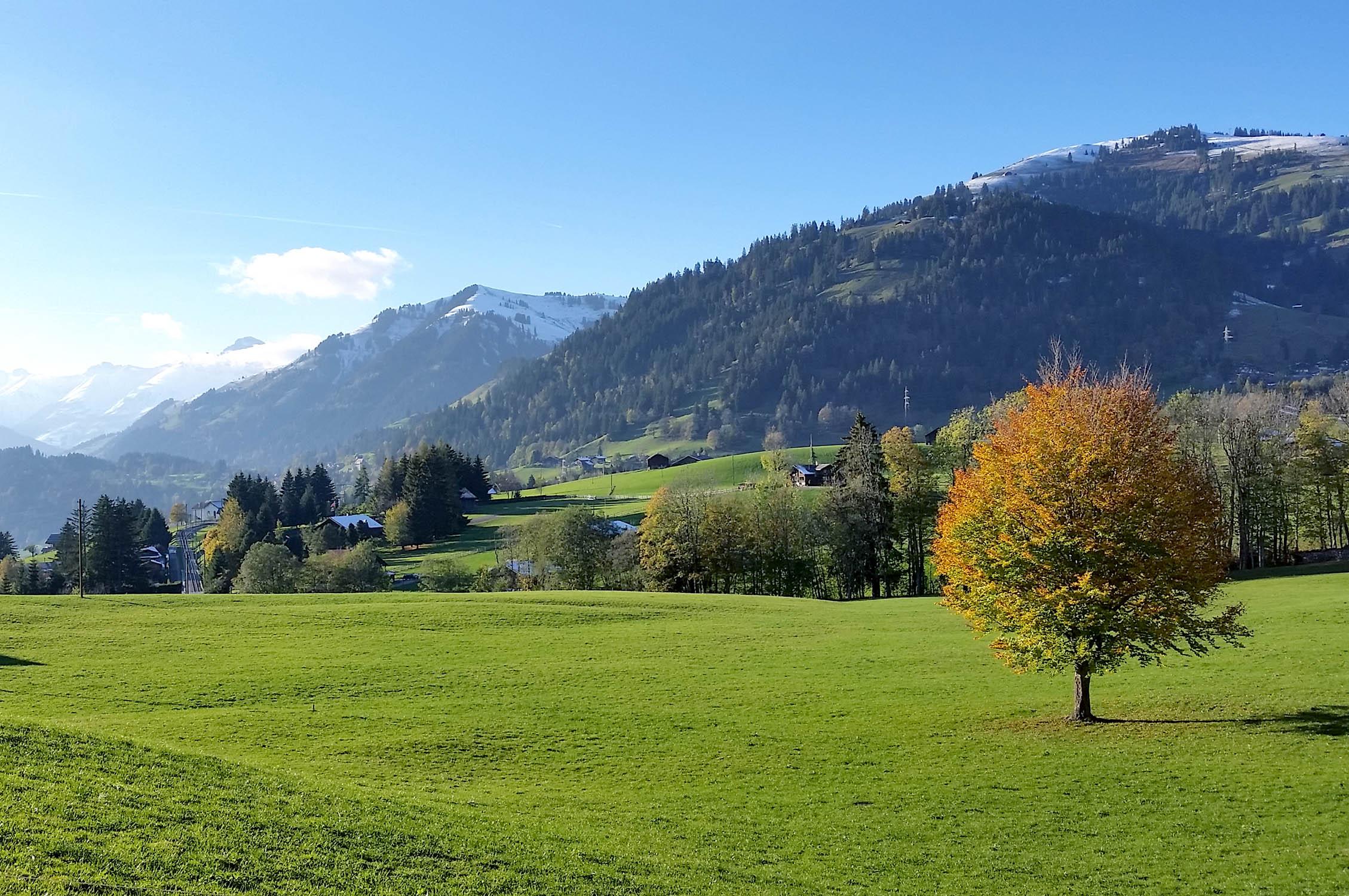 Schönried photo, copyright: 