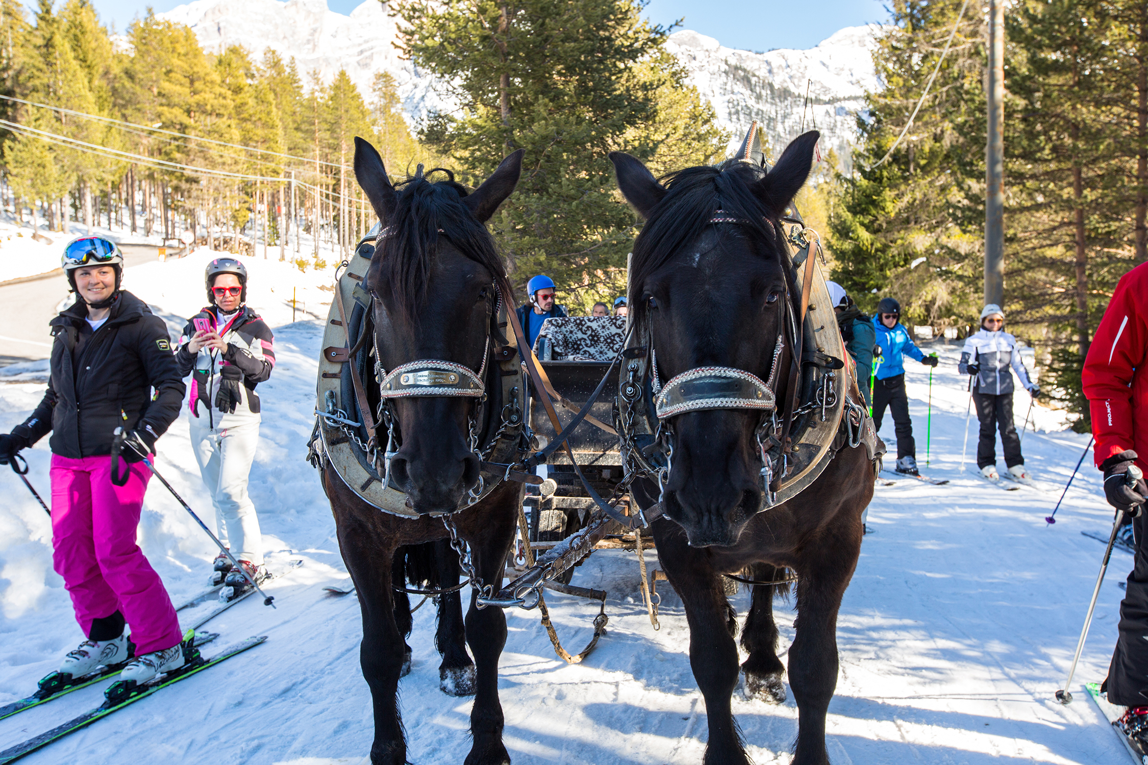 Pair,Of,Cross,Skis,In,Snow