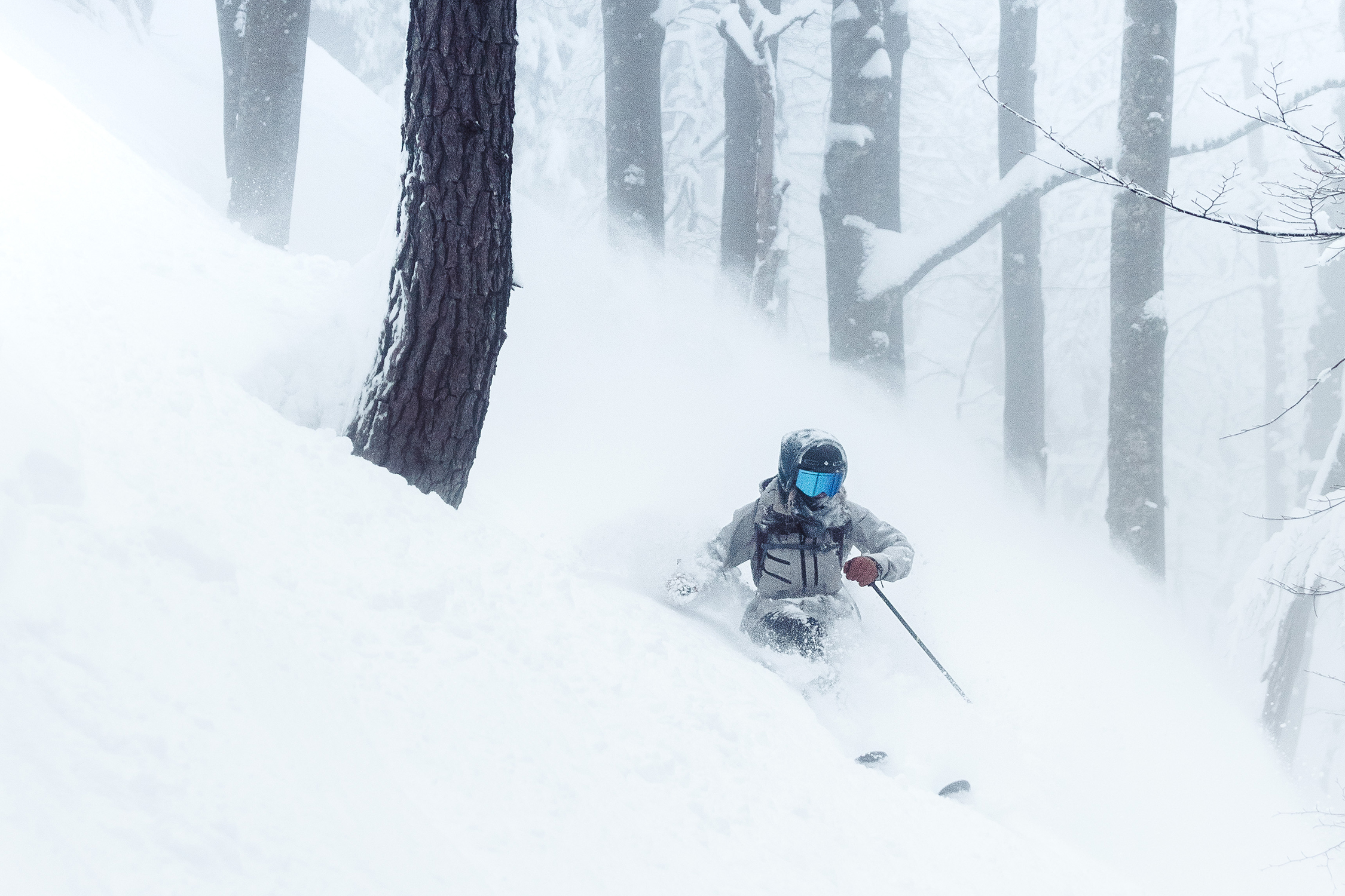 Pair,Of,Cross,Skis,In,Snow