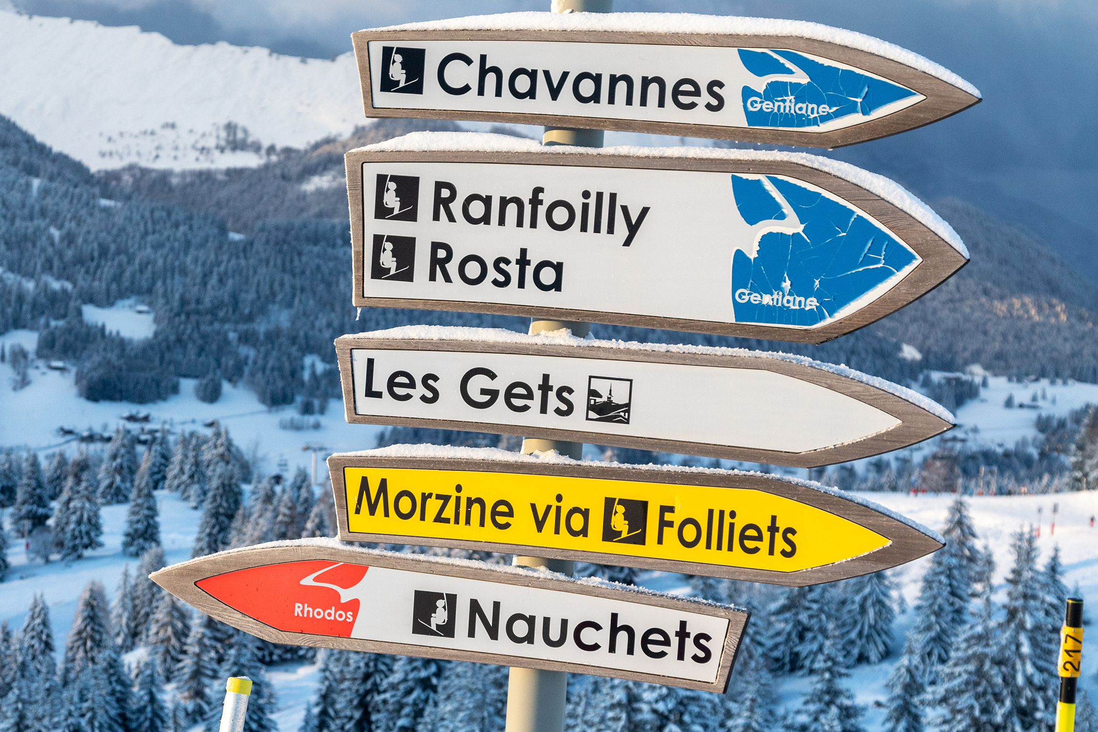 Pair,Of,Cross,Skis,In,Snow