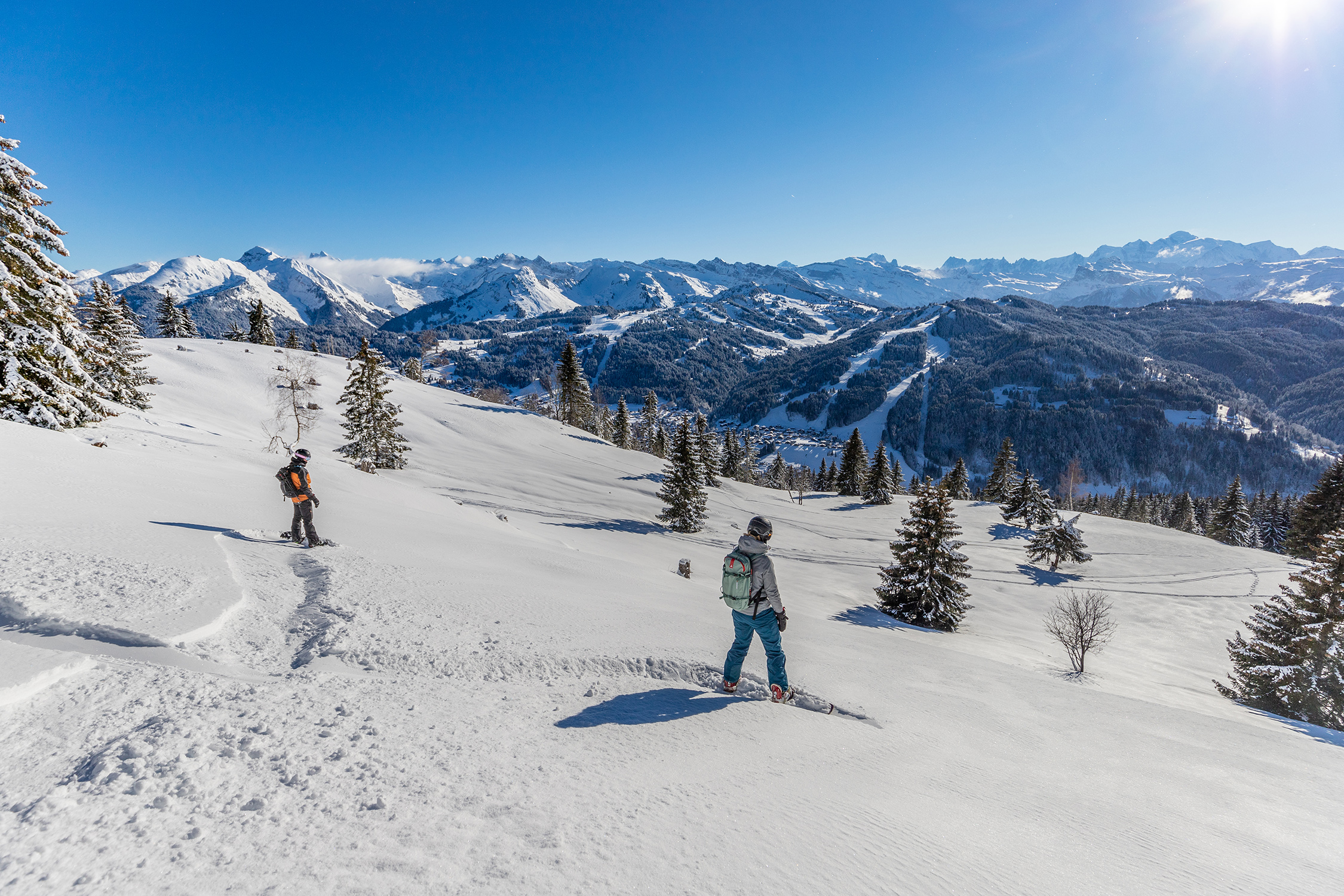 Pair,Of,Cross,Skis,In,Snow