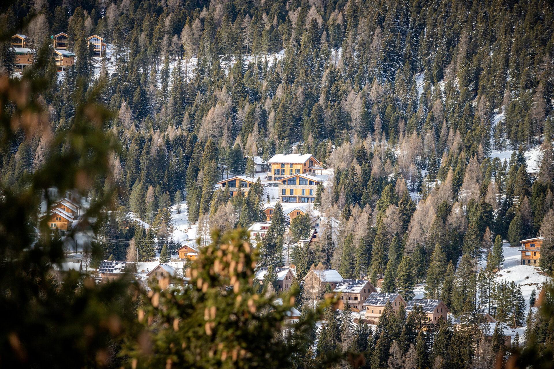 Pair,Of,Cross,Skis,In,Snow